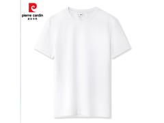 皮尔·卡丹男士短袖T恤两件低至24.9元