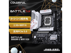 七彩虹U5-230F+B860M套装直降197