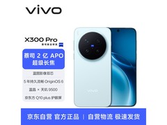 vivo X300 Pro 16GB+512GB自在蓝钜惠