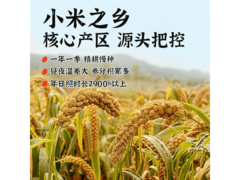 山西阳曲农家黄小米3袋仅1.5元！满2减1速来！