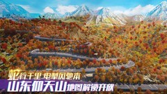 模拟游戏哪些值得玩 好玩的模拟游戏排行