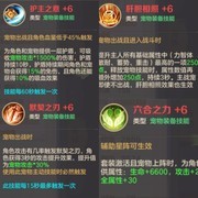 云上城之歌：宠物装备全解析