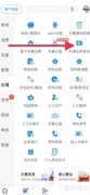 中国电信天通业务查询指南