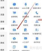 中国电信天通业务查询指南