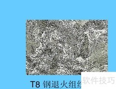 T8钢显微组织特征解析