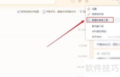 WPS重置插件设置方法