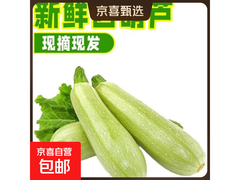 山东现摘三月西葫芦2斤带箱仅6.9元，速抢！