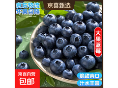 云南国产超大蓝莓4盒装，到手仅14.8元速来抢！