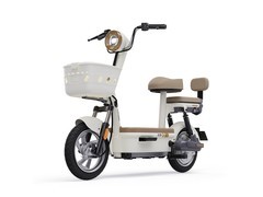 绿源新国标电动车FBZ7乐骑10燕麦白优惠促销