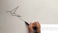 燕子简笔画轻松学