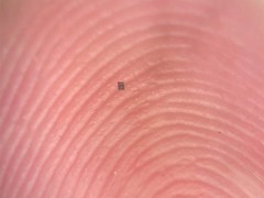 全球最小可编程微型机器人问世，成本仅一美分