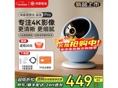 华为智选海雀雀蛋Pro仅379元