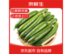 京鲜生山东荷兰水果黄瓜，原价11.9元用券仅8.9元