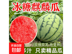 冰糖美都麒麟西瓜新鲜直供，6 - 8斤仅售19.9元