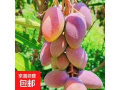 正宗海南薄皮贵妃芒果2斤装，仅5.99元速抢！