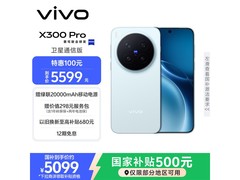 vivo X300 Pro卫星通信版5G手机