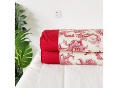 柳庭家纺荞麦枕芯一对装，到手仅99元