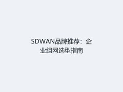 SDWAN品牌推荐：企业组网选型指南