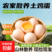 海佑农场20枚800克土鸡蛋，京东到手仅19.99元