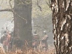 艾尔登法环电影传闻引热议：真人化能否承载轮回机制与晦涩世界观？