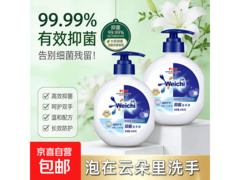 大牌抑菌香氛洗手液450克体验装，仅6.98元速抢！