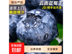 花香蓝莓中果4盒100g装，直发包邮仅19.83元！