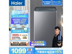 海尔XQB100变频波轮洗衣机