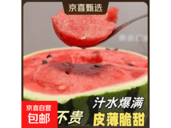 正宗现摘麒麟西瓜，满减优惠，19.9元券后仅16.9元