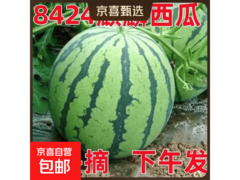 夏日精品8424麒麟西瓜，满减满折，券后仅9.2元！