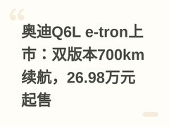 奥迪Q6L e-tron上市：双版本700km续航，26.98万元起售