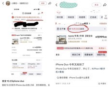 网友发现iPhone Duo官网发货已排到明年1月 京东下单23日就能到手新机