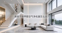 新房子除甲醛空气净化器怎么选？2026年急入住快速除醛选购要点