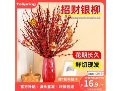 京东特惠！30枝60公分银柳真花摆件24.9元