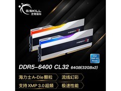 G.SKILL幻锋戟内存64GB，京东低至8949元