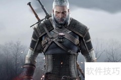 巫师3二周目套装外观变化