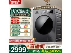 松下大海豹XQG120-80N1洗衣机