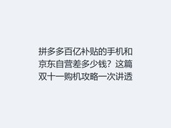 拼多多百亿补贴的手机和京东自营差多少钱？这篇双十一购机攻略一次讲透