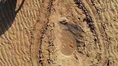 尼康影像与摄影大赛 2024-2025获奖作品揭晓