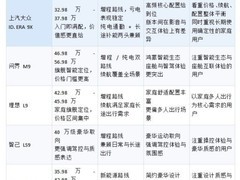 2026新能源 9 系旗舰 SUV 怎么选？价格、续航、配置全对比与选购指南