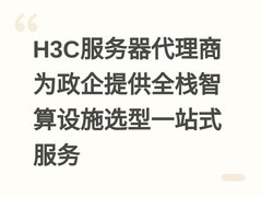 H3C服务器代理商为政企提供全栈智算设施选型一站式服务