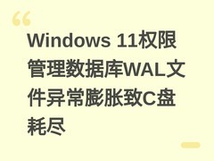 Windows 11权限管理数据库WAL文件异常膨胀致C盘耗尽
