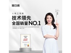 黑白调P2 Pro+人体工学椅霜白款