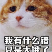 大千世界：新人玩家必看攻略