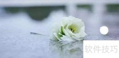 公墓祭品被盗应对策略