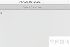 Sequel Pro SQL查询指南