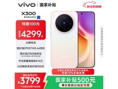 vivo X300 5G幸运彩12GB版3499元