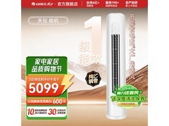 格力天仪2匹柜机空调钜惠