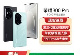 荣耀300 Pro AI旅拍手机天猫促销价2749