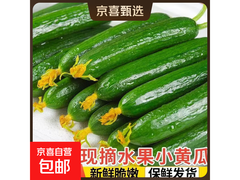 寿光水果黄瓜 2 斤装仅 3.99 元，清爽解腻速来！