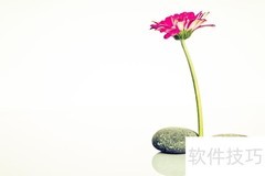 用二八法则提升工作效率